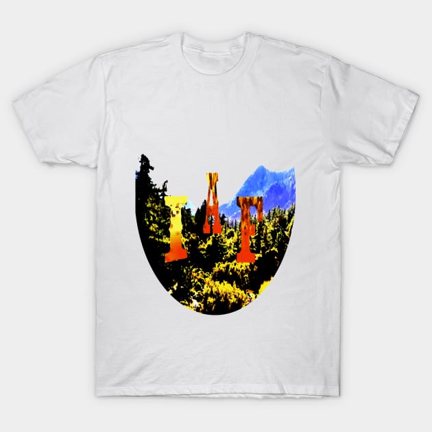 Forest Fire IAF T-Shirt by immigrantaf